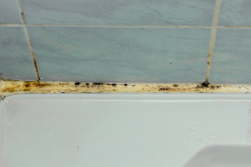Stark verschimmelte Silikonfugen wie hier lassen sich nicht mehr retten. Entfernen Sie die alte Dichtung gründlich und tragen Sie frisches Silikon auf Schimmel-an-Silikonfugen