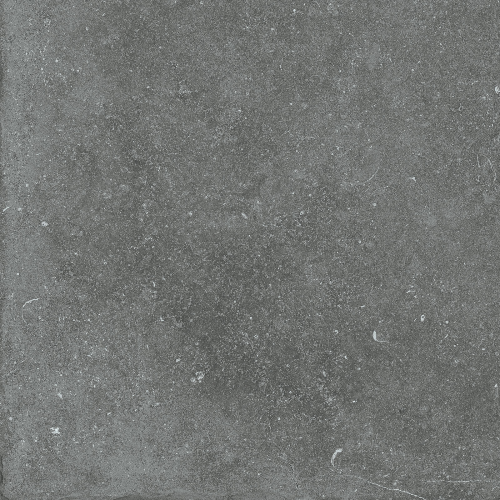 Flaviker Nordik Stone Indoor Bodenfliese Natursteinoptik Grau Matt 60x60 cm rektifiziert R10B