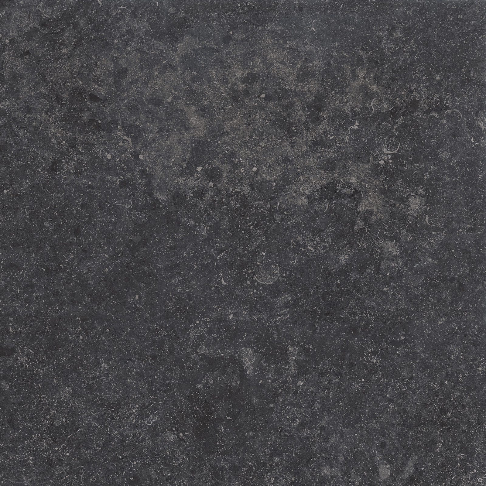 Gardenia Origini Bodenfliese Natursteinoptik Schwarz Matt 80x80 cm rektifiziert R10