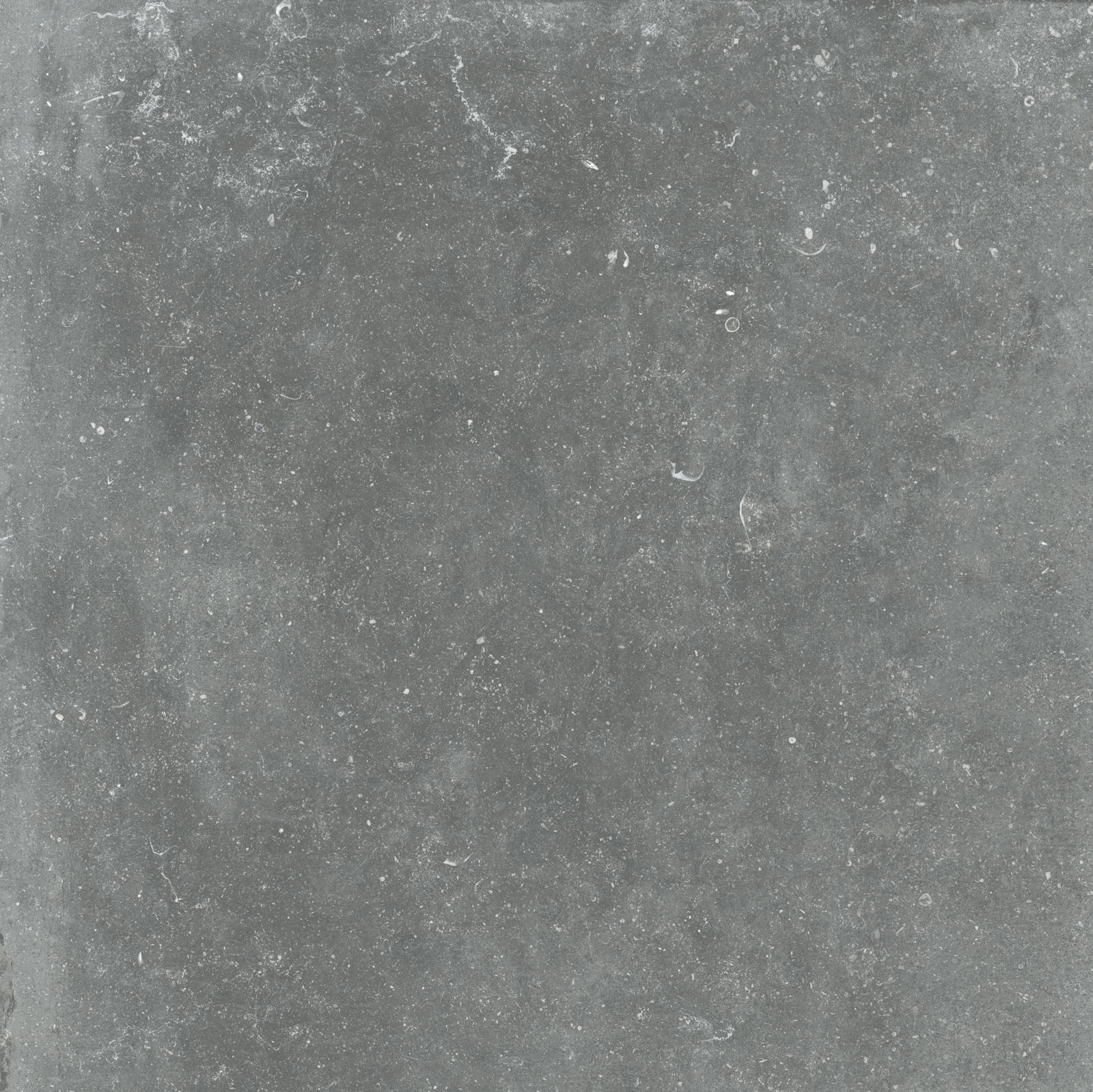 Flaviker Nordik Stone Indoor Bodenfliese Natursteinoptik Grau Matt 90x90 cm rektifiziert R10B