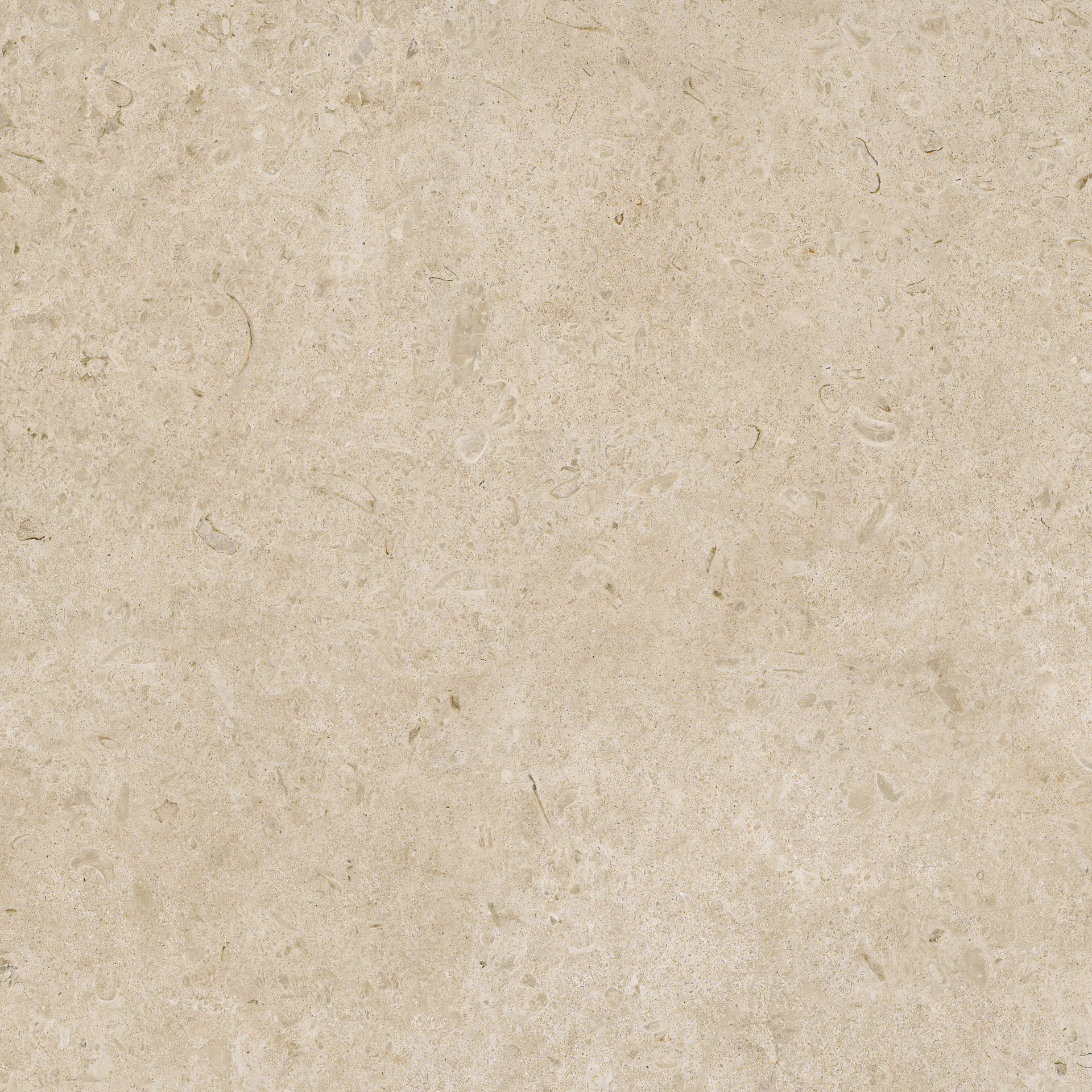 Ragno Eterna Bodenfliese Natursteinoptik Greige Matt 100x100 cm rektifiziert R10B 