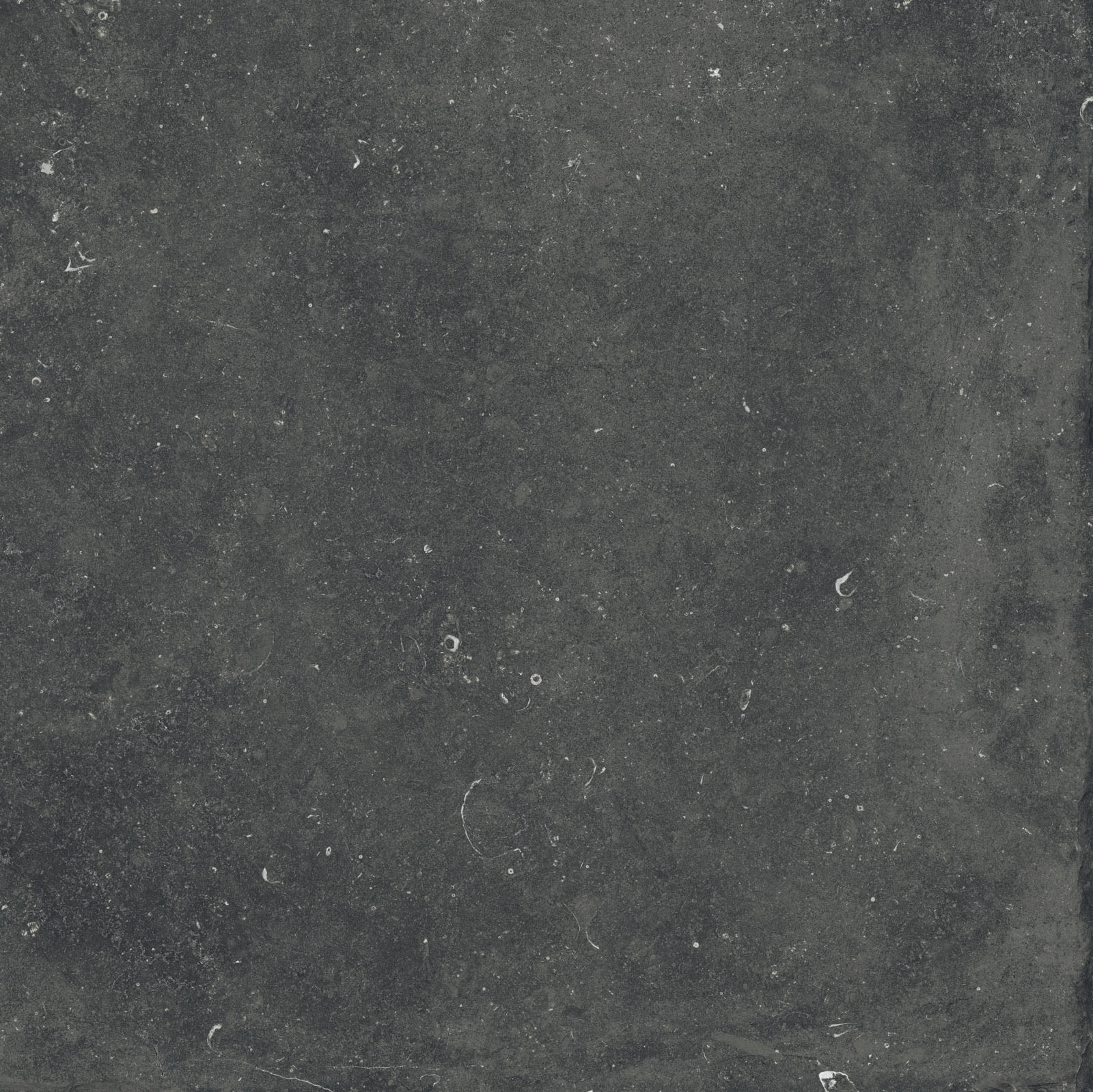Flaviker Nordik Stone Indoor Bodenfliese Natursteinoptik Schwarz Matt 90x90 cm rektifiziert R10B