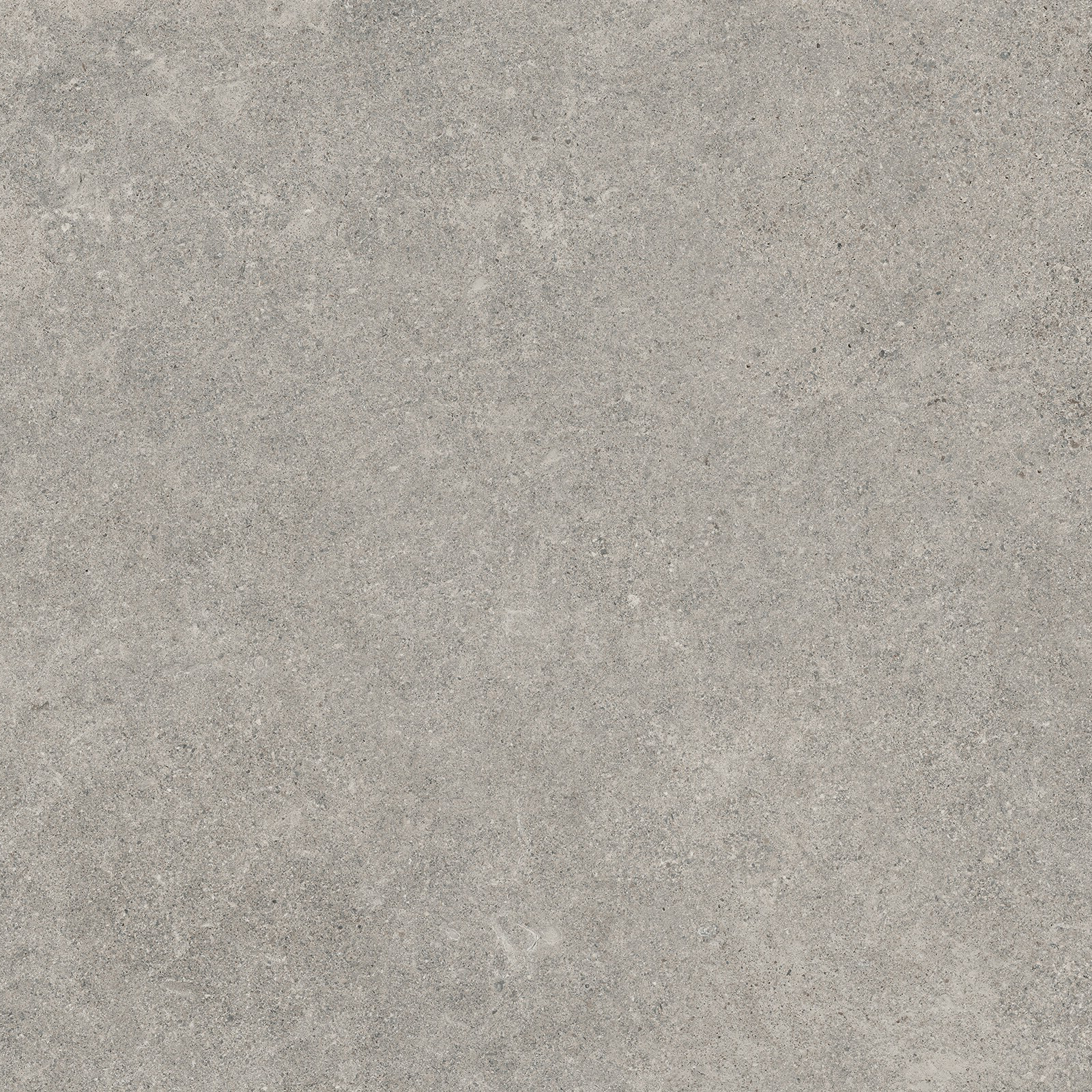Gardenia Origini Bodenfliese Natursteinoptik Grau Matt 80x80 cm rektifiziert R10