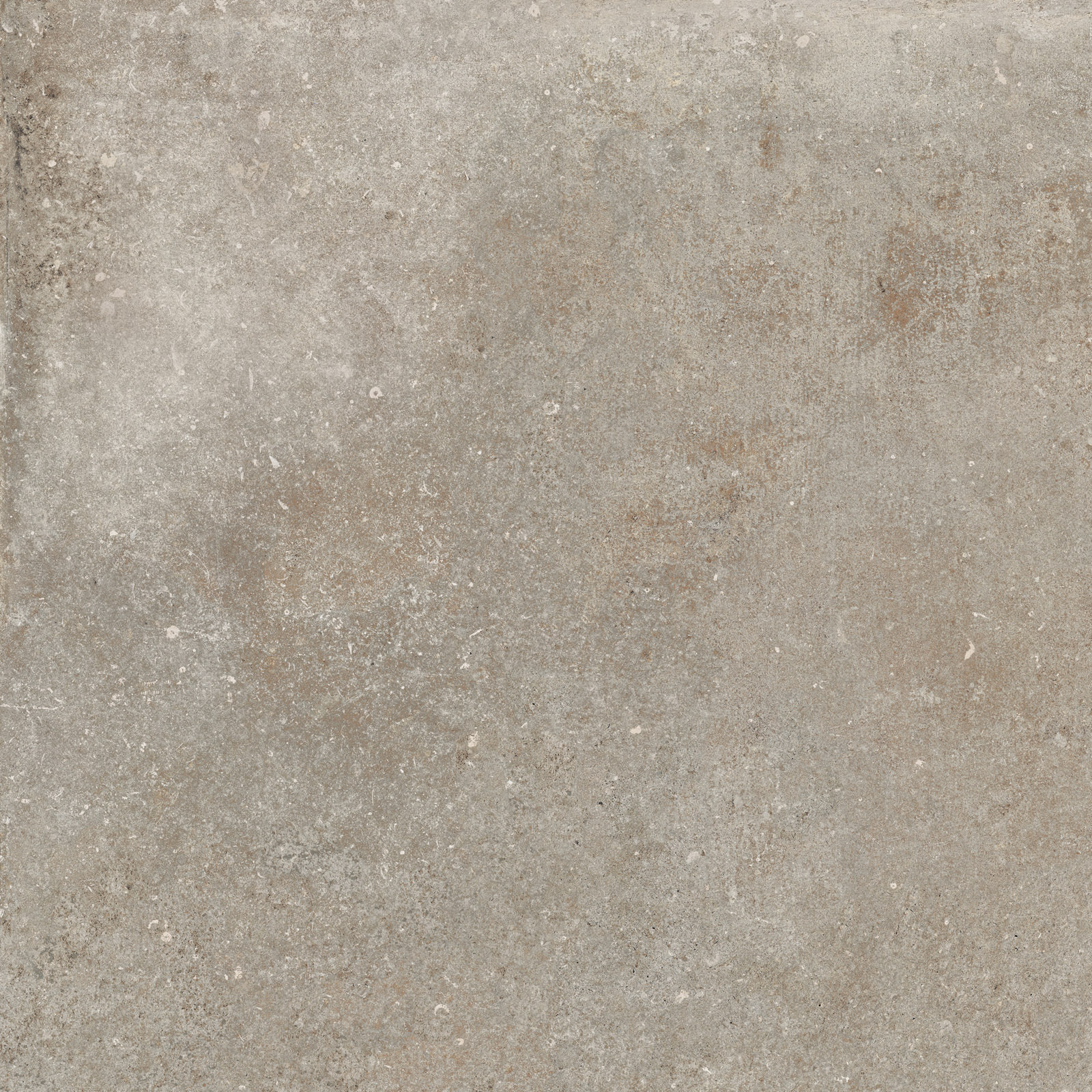 Flaviker Re Tour Bodenfliese Outdoor Betonoptik Greige Matt 60x60 cm rektifiziert R11C