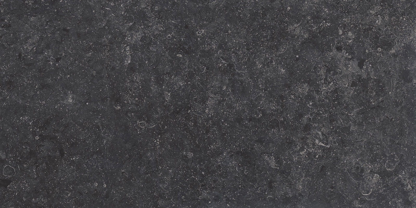 Gardenia Origini Bodenfliese Natursteinoptik Schwarz Matt 30x60 cm rektifiziert R10