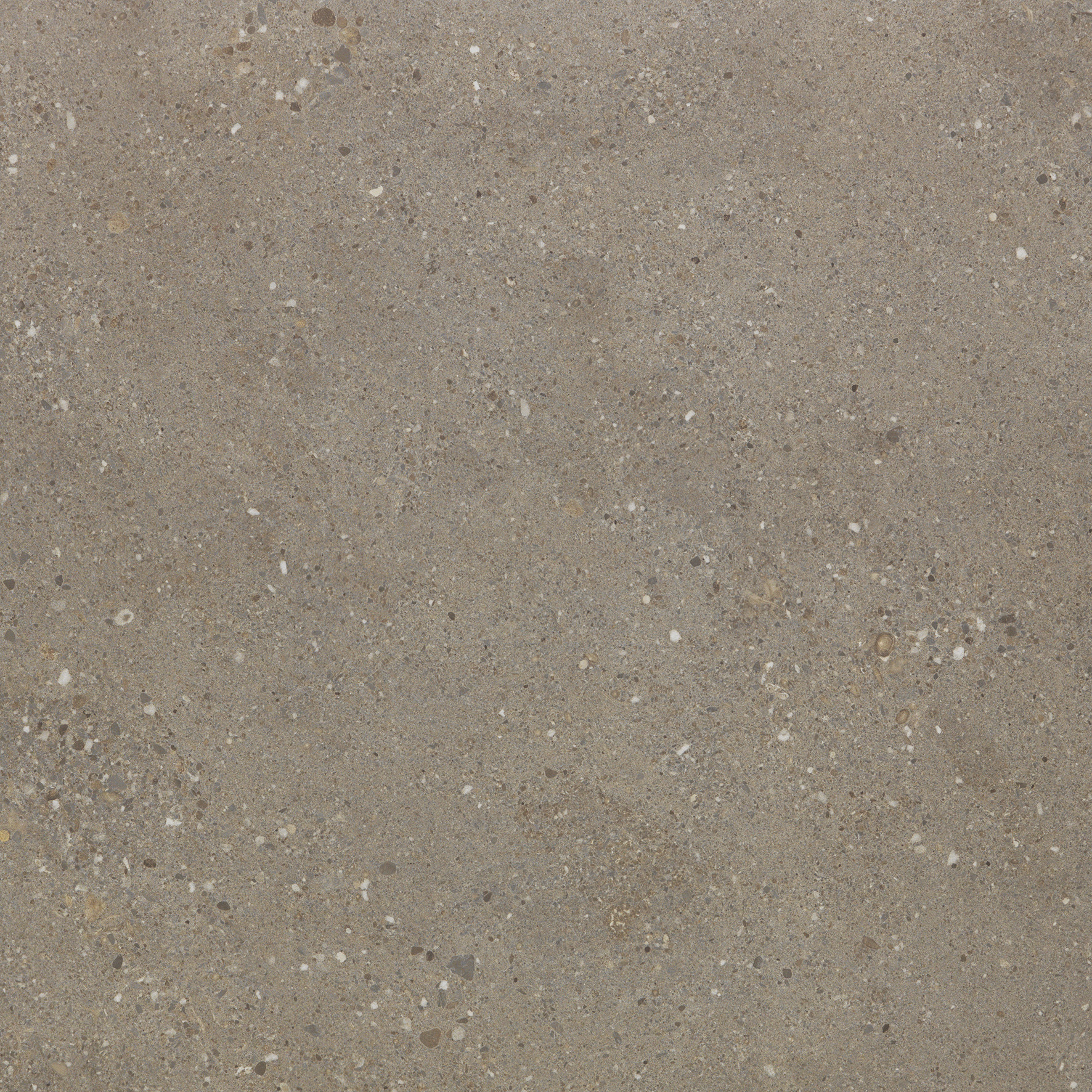 Urbanixx Gres Florenz Bodenfliese Natursteinoptik Greige Matt 60x60 cm rektifiziert