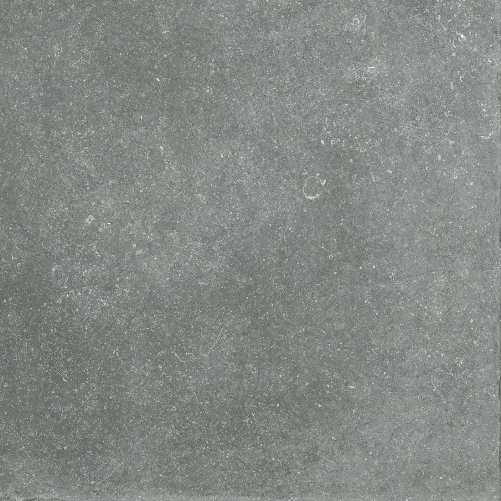 Flaviker Nordik Stone Indoor Bodenfliese Natursteinoptik Grau Matt 90x90 cm rektifiziert R10B