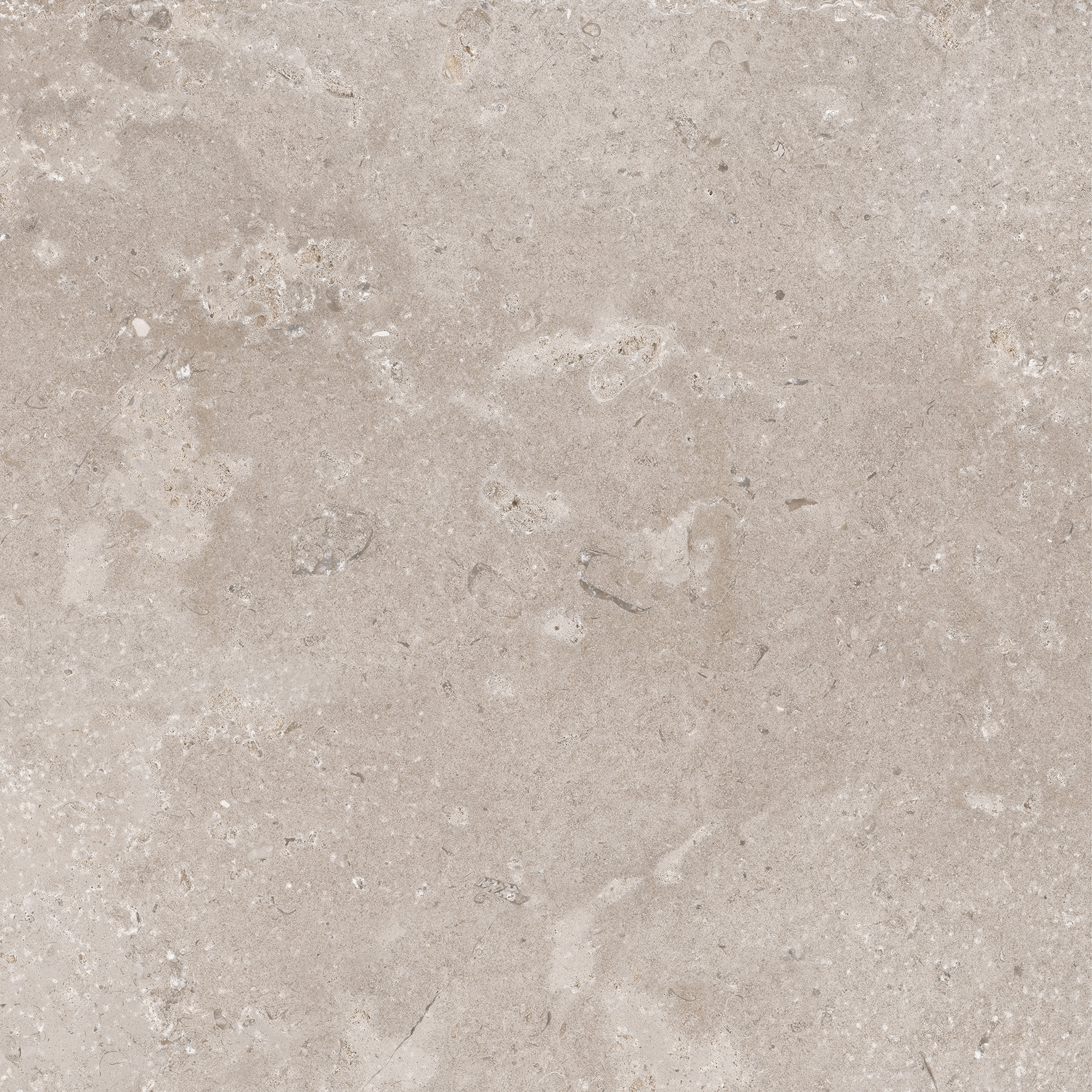 Urbanixx Gres Timeless Bodenfliese Betonoptik Taupe 59,5x59,5cm rektifiziert R10B