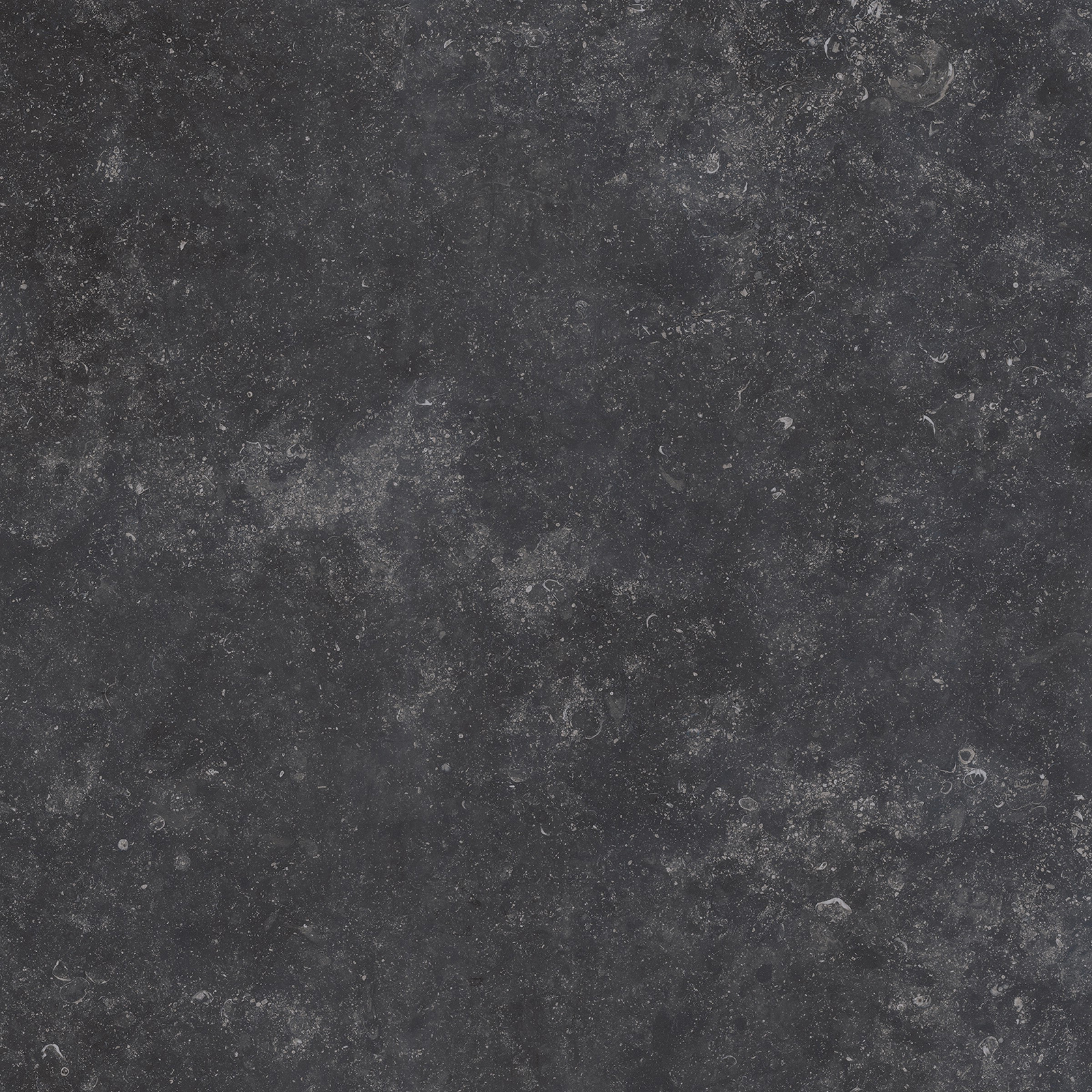 Gardenia Origini Bodenfliese Natursteinoptik Schwarz Matt 80x80 cm rektifiziert R10