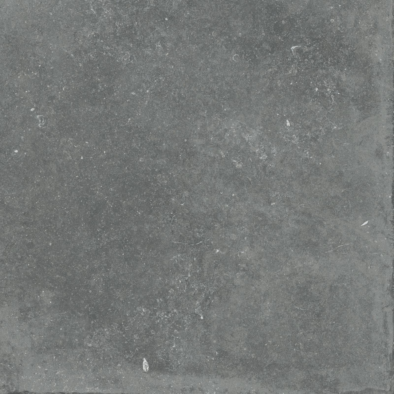 Flaviker Nordik Stone Bodenfliese Natursteinoptik Grey matt 90x90 cm rekt. R10B