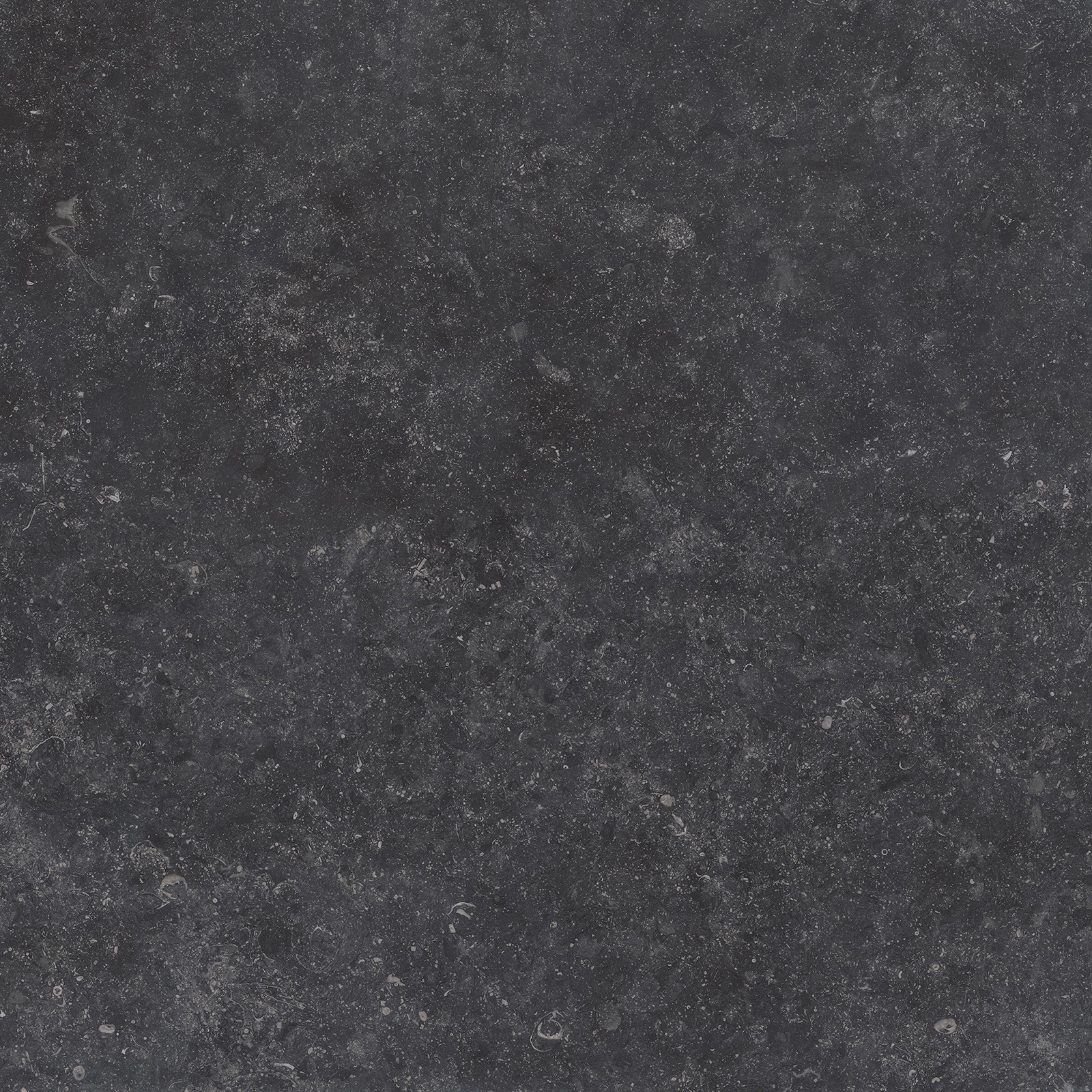 Gardenia Origini Bodenfliese Natursteinoptik Schwarz Matt 80x80 cm rektifiziert R10