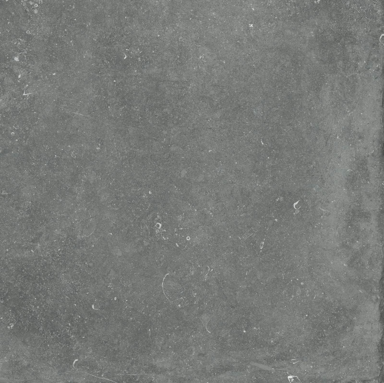 Flaviker Nordik Stone Indoor Bodenfliese Natursteinoptik Grau Matt 90x90 cm rektifiziert R10B