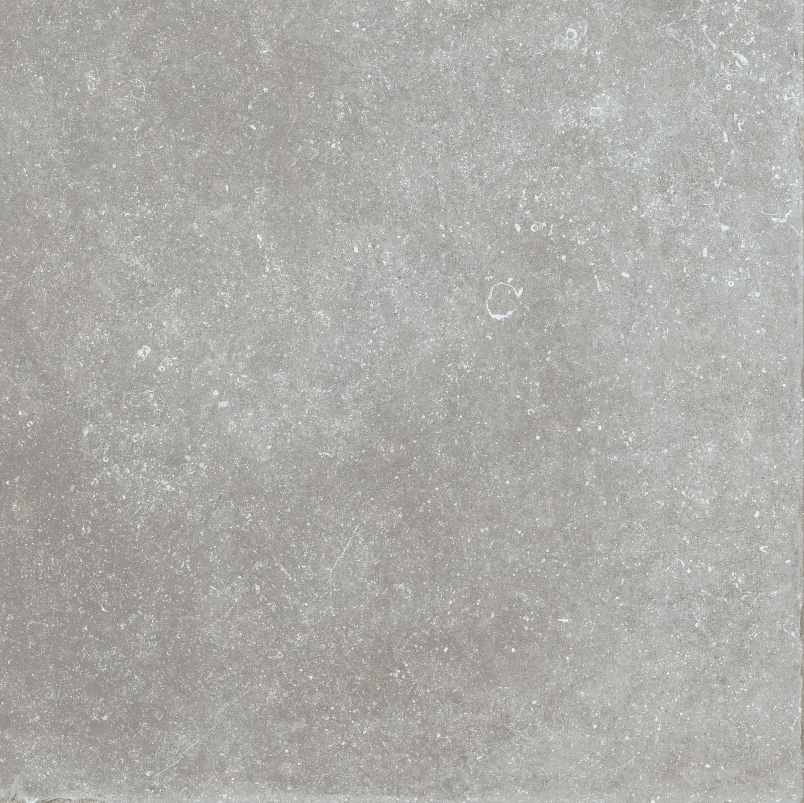 Flaviker Nordik Stone Bodenfliese Natursteinoptik Ash matt 90x90 cm rekt. R10B