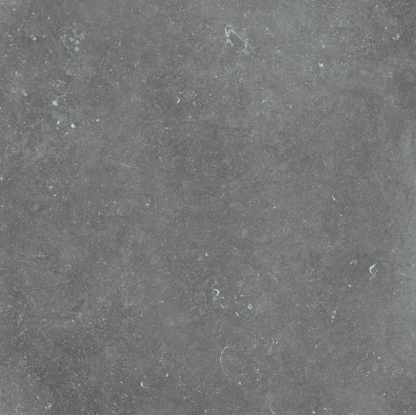 Flaviker X20 Nordik Stone keramisches Terrassenelement Natursteinoptik Grau Matt 90x90 cm rektifiziert R11C
