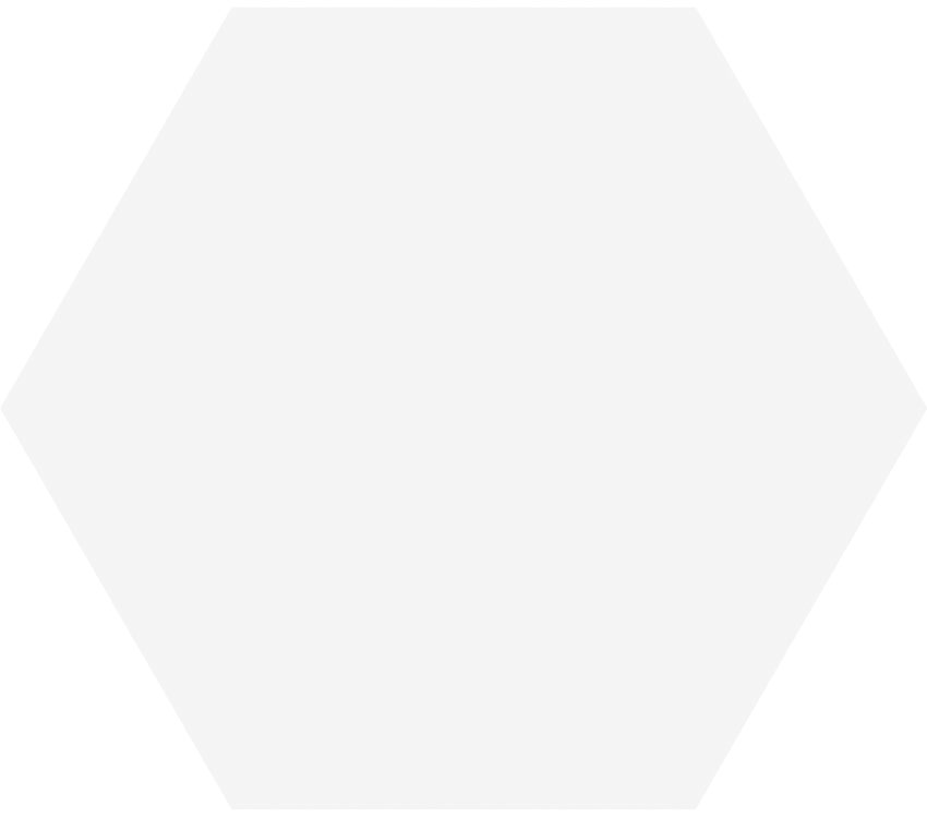 Urbanixx Gres Salmi Bodenfliesen Hexagon Weiß matt 15x17 cm  