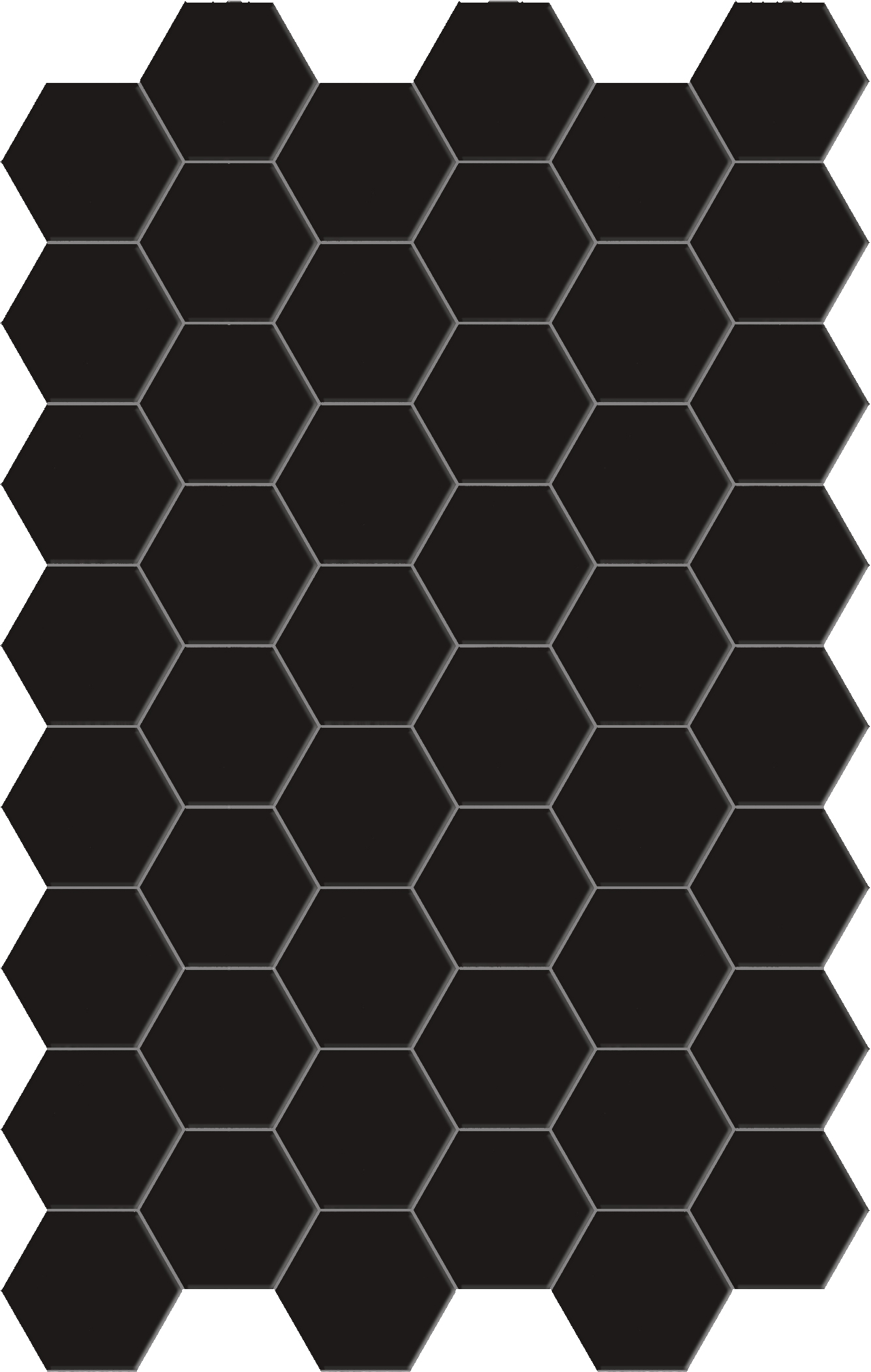 Catalea Gres Akita Bodenfliese Hexagon Schwarz matt 14x16 cm rekt. R10