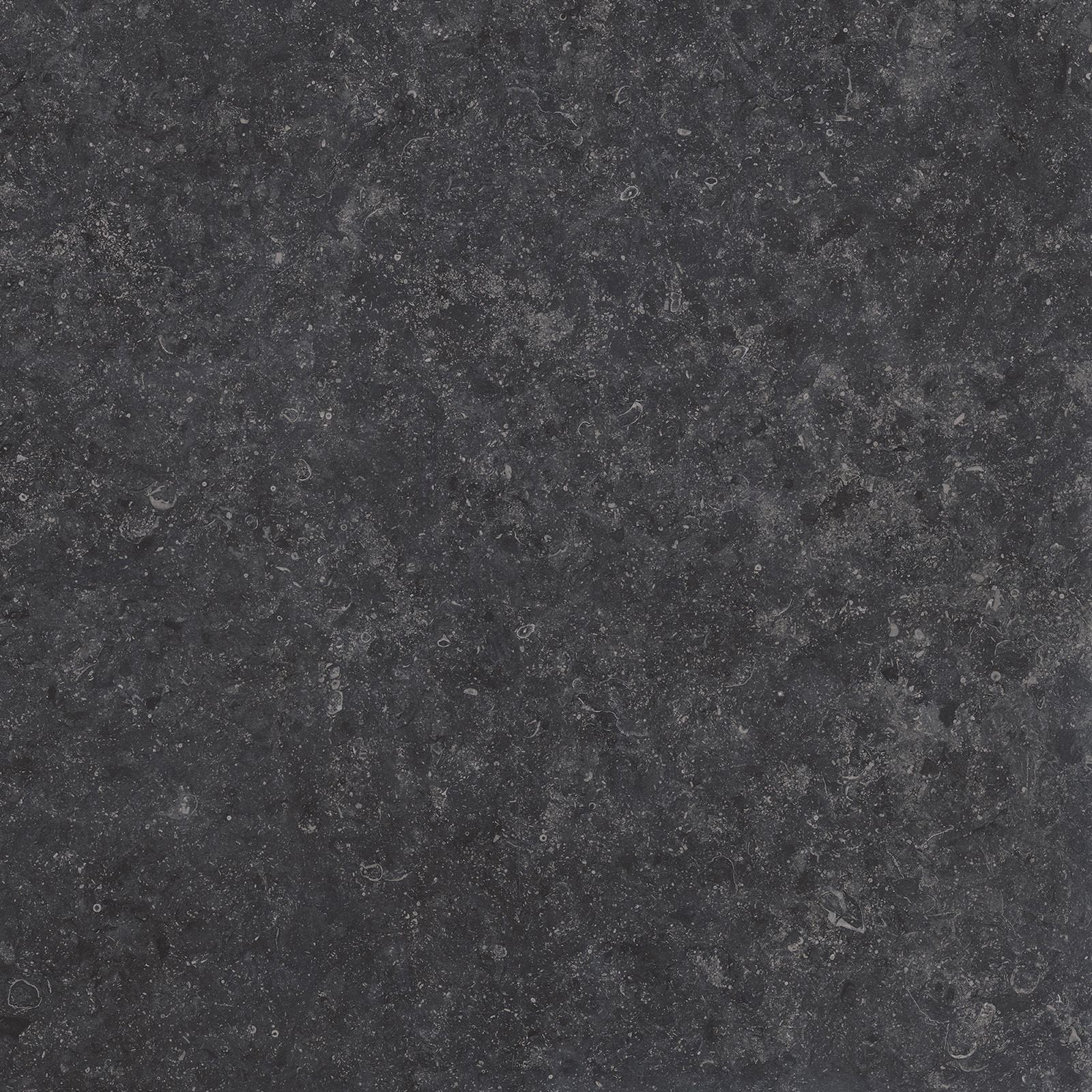 Gardenia Origini Bodenfliese Natursteinoptik Schwarz Matt 80x80 cm rektifiziert R10