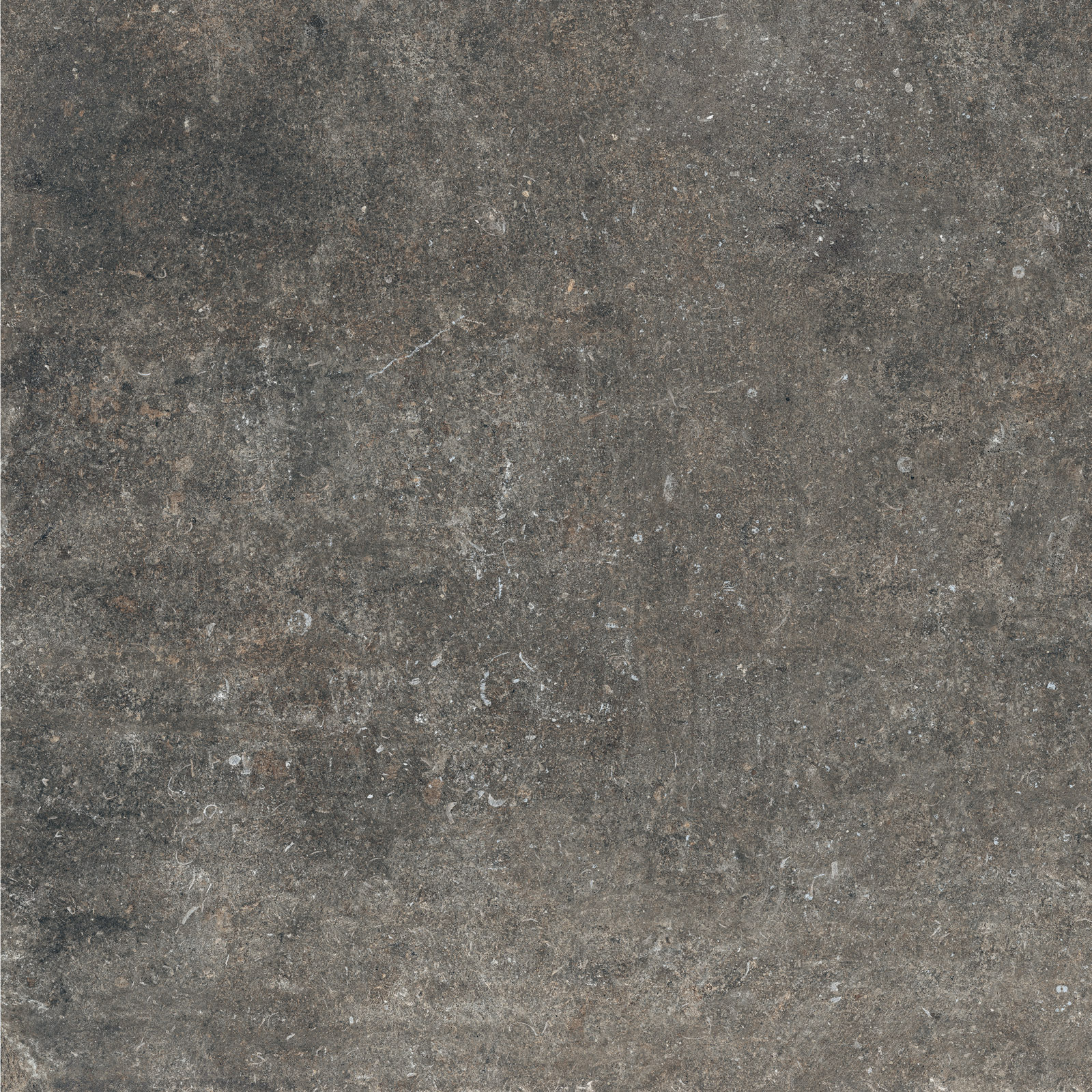 Flaviker Re Tour Bodenfliese Outdoor Betonoptik Mud matt 60x60 cm rekt. R11C Flaviker Re Tour Bodenfliese Outdoor Betonoptik Mud matt 60x60 cm rekt. R11C