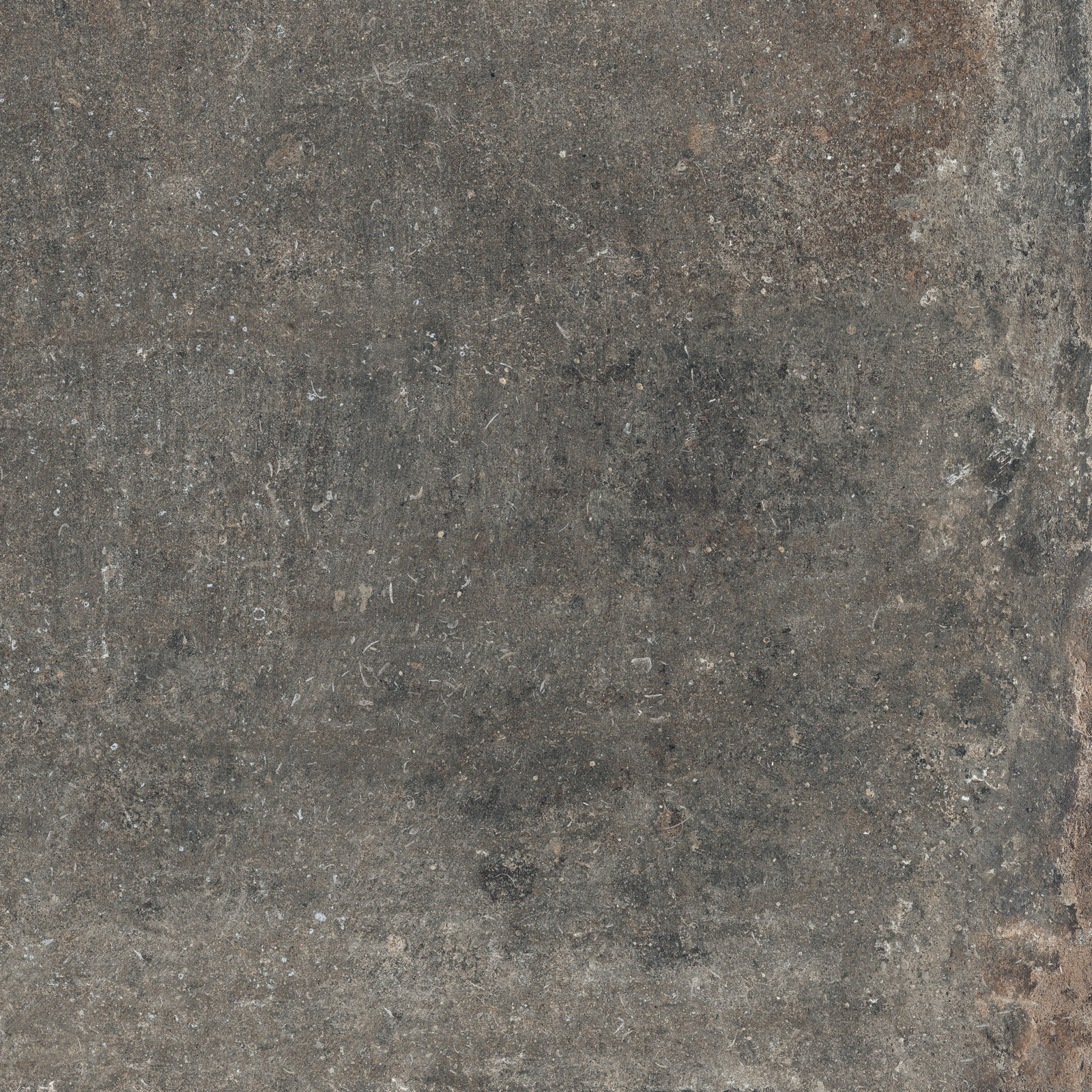 Flaviker Re Tour Bodenfliese Outdoor Betonoptik Mud matt 60x60 cm rekt. R11C Flaviker Re Tour Bodenfliese Outdoor Betonoptik Mud matt 60x60 cm rekt. R11C